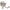SpotShield Brushed Nickel / 1